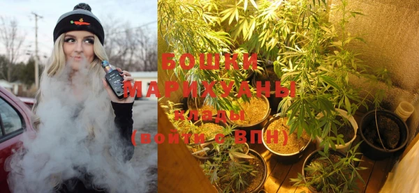 ГАЛЛЮЦИНОГЕННЫЕ ГРИБЫ Балахна