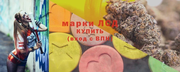ГАЛЛЮЦИНОГЕННЫЕ ГРИБЫ Балахна