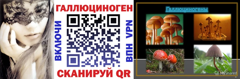 мориарти состав  Верея  Псилоцибиновые грибы GOLDEN TEACHER 