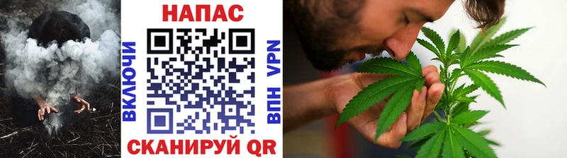 Каннабис ГИДРОПОН  Верея 